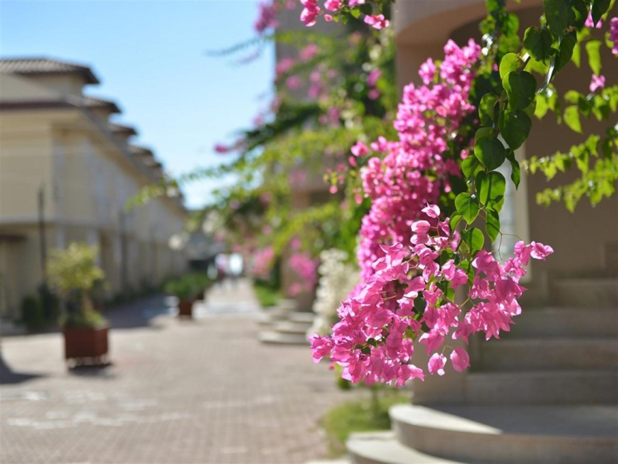 Sunset Beach Club Lebrentals Fethiye Esterno foto